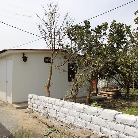Bungalows Payancas De Tato 巴兰卡 外观 照片