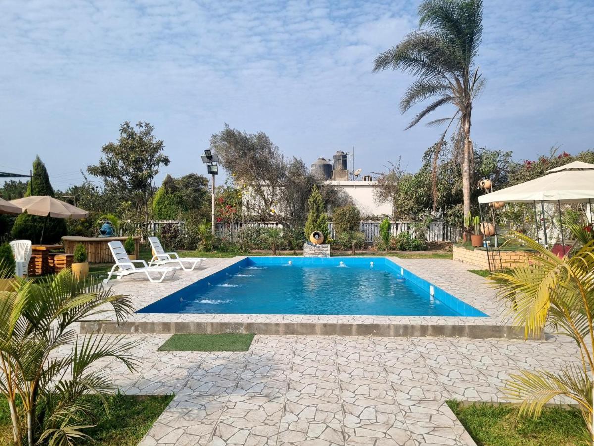 Bungalows Payancas De Tato 巴兰卡 外观 照片