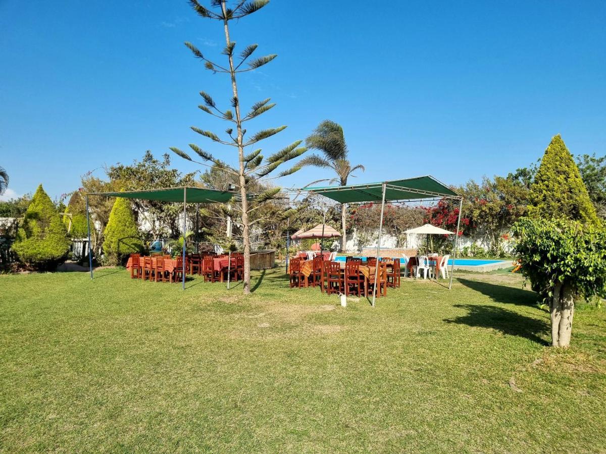 Bungalows Payancas De Tato 巴兰卡 外观 照片