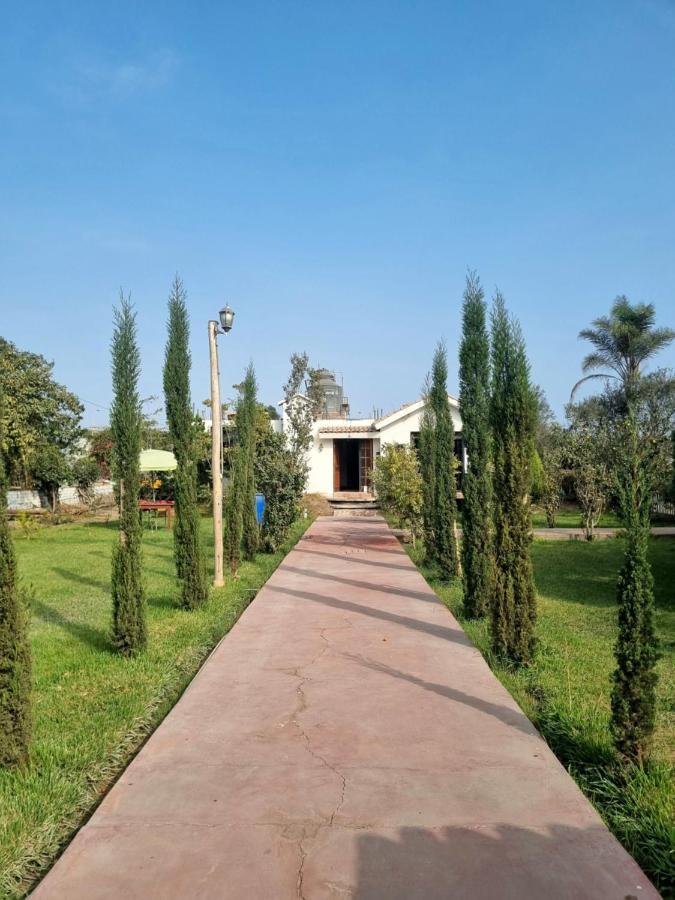Bungalows Payancas De Tato 巴兰卡 外观 照片