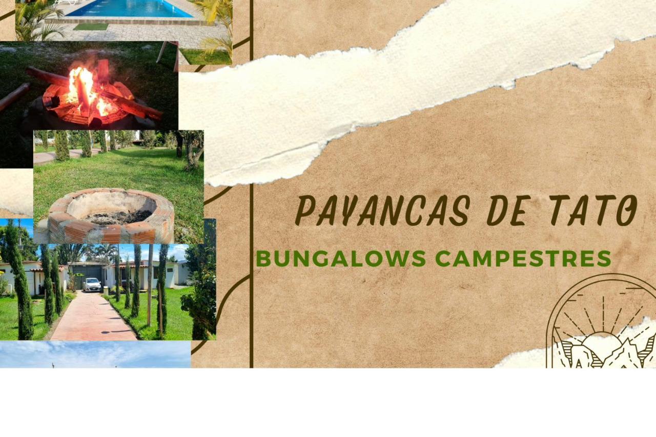 Bungalows Payancas De Tato 巴兰卡 外观 照片